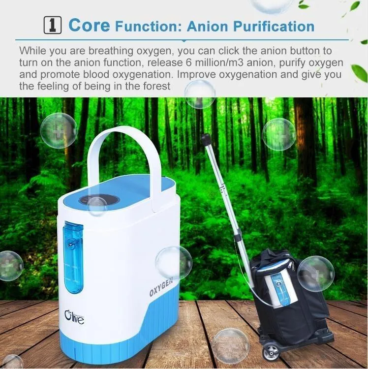 1-5L/Min 24hours continuous Portable Oxygen Concentrator With Battery With Trolley for Home Car Power Use