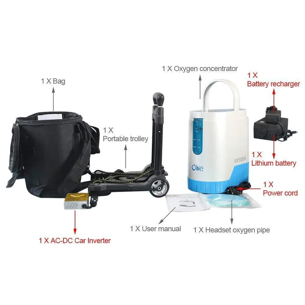 1-5L/Min 24hours continuous Portable Oxygen Concentrator With Battery With Trolley for Home Car Power Use