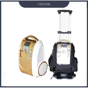 1L-5L/Min Trolley 24hours continuous Portable Oxygen Generator Concentrator Battery/Travel/Home Use Oxygen Machine