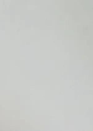 240G TECHNO CREPE STRETCHED KNIT<br><h6>5-PFP WHITE<br>201-TECHNO</h6>