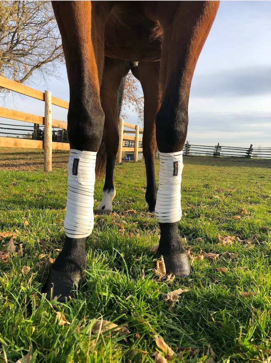 Anatomeq AirSupport Polos - Ultra Breathable