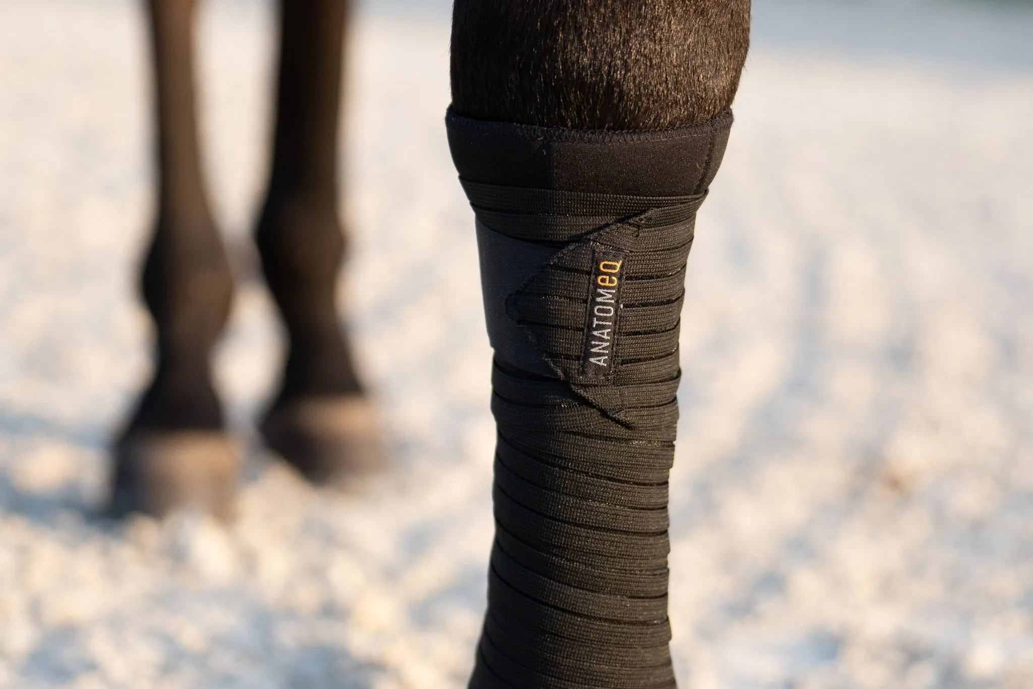 Anatomeq AirSupport Polos - Ultra Breathable