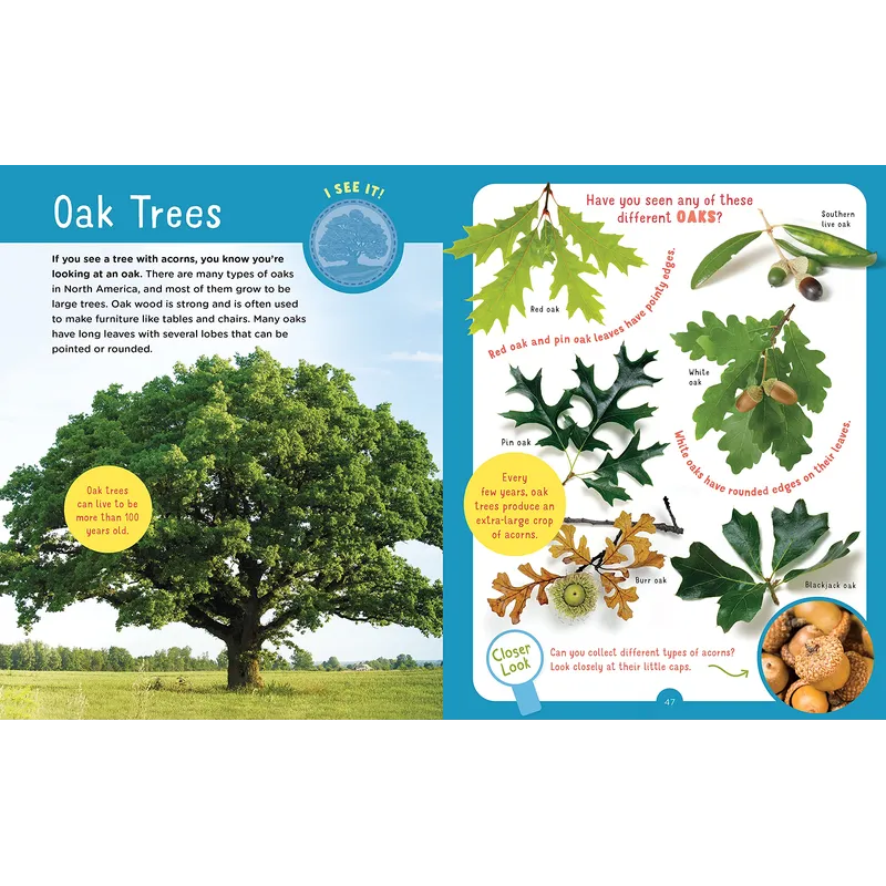 Backpack Explorer: Discovering Trees: What Will You Find?