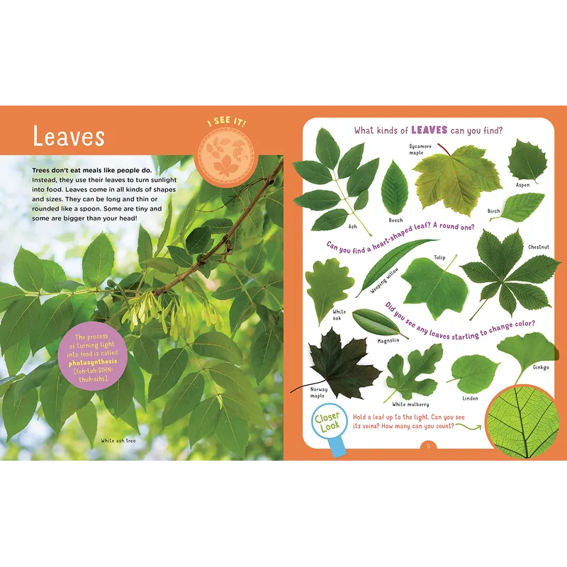 Backpack Explorer: Discovering Trees: What Will You Find?
