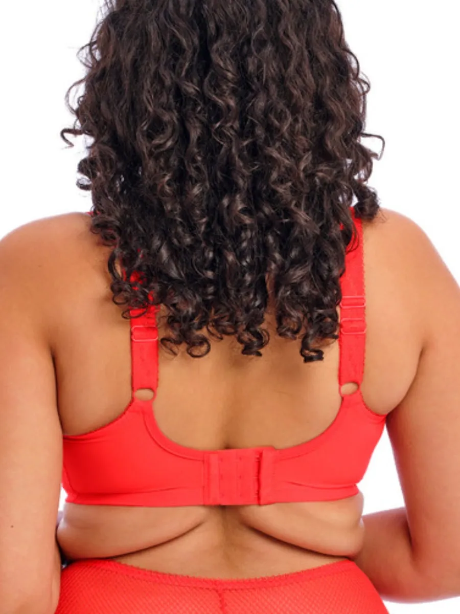 Charley Stretch Plunge Bra - Salsa