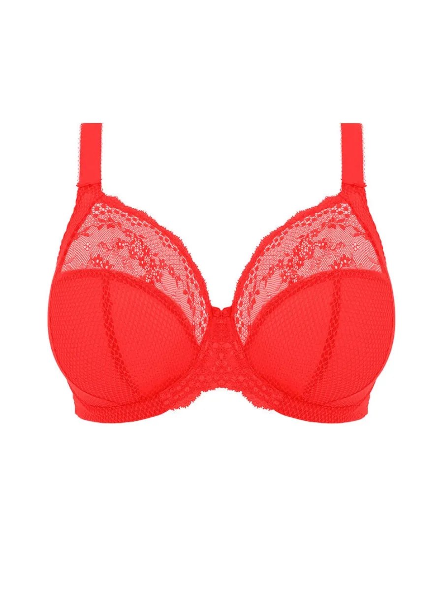 Charley Stretch Plunge Bra - Salsa