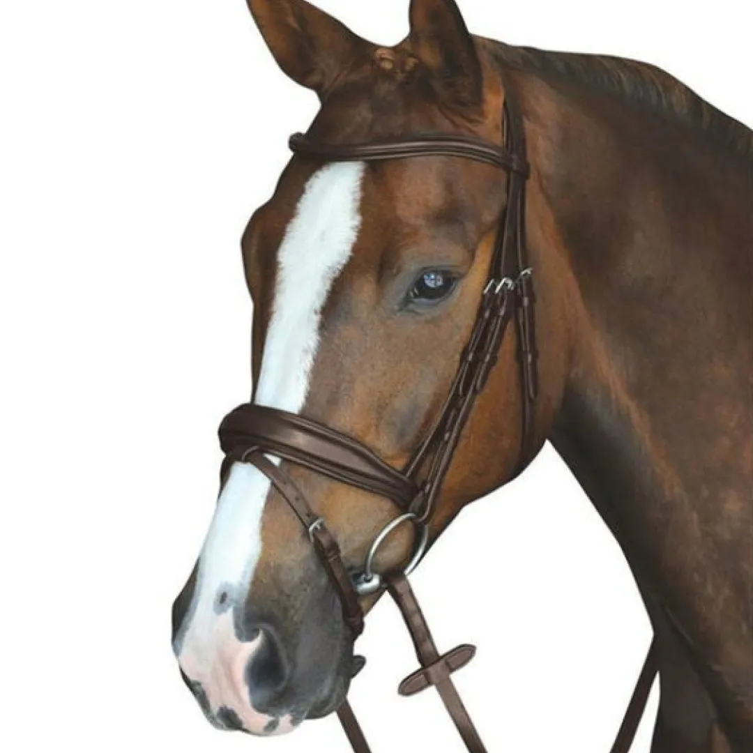 Collegiate Mono Crown Padded Raised Flash Bridle