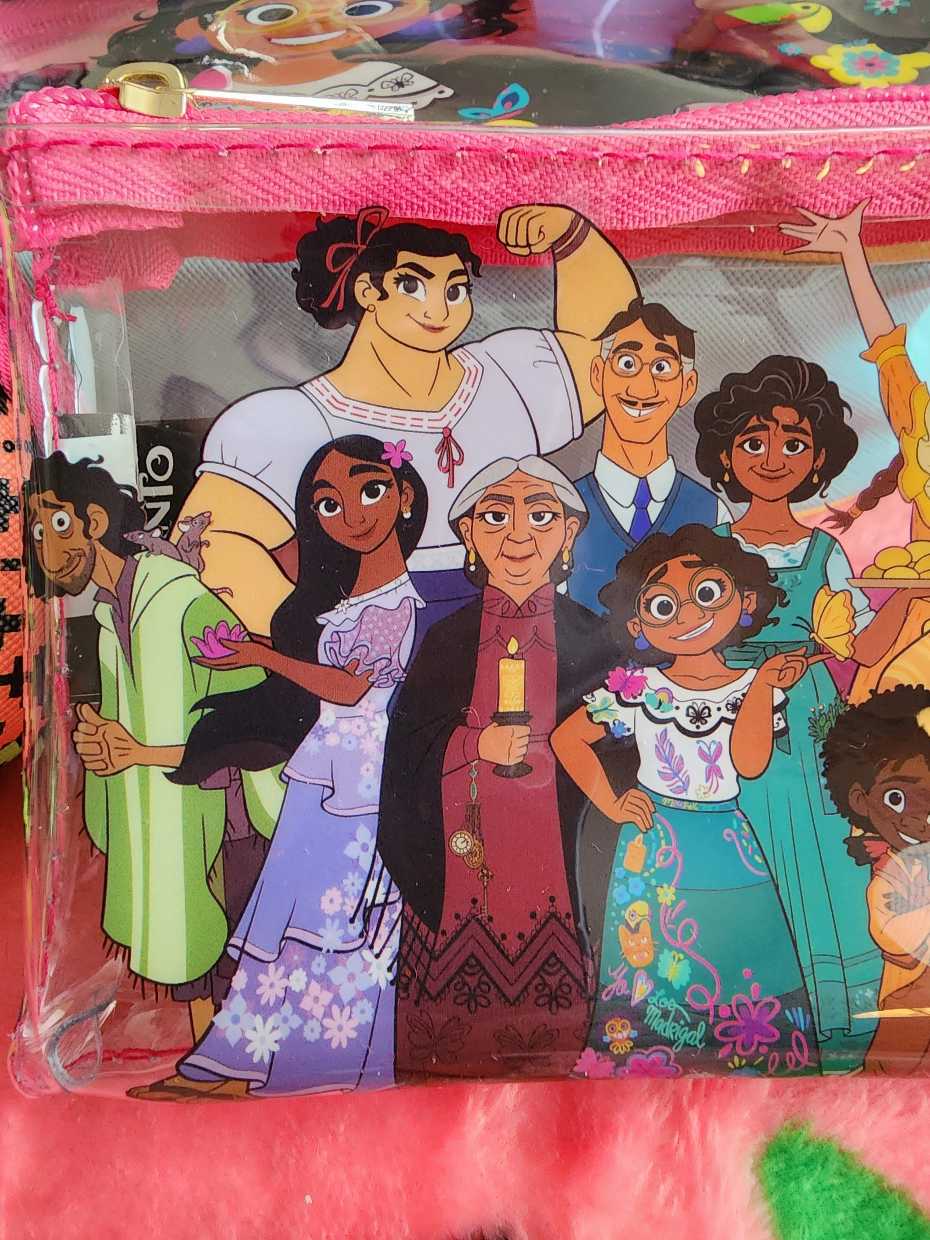 Disney Encanto Cosmetic Bag Set