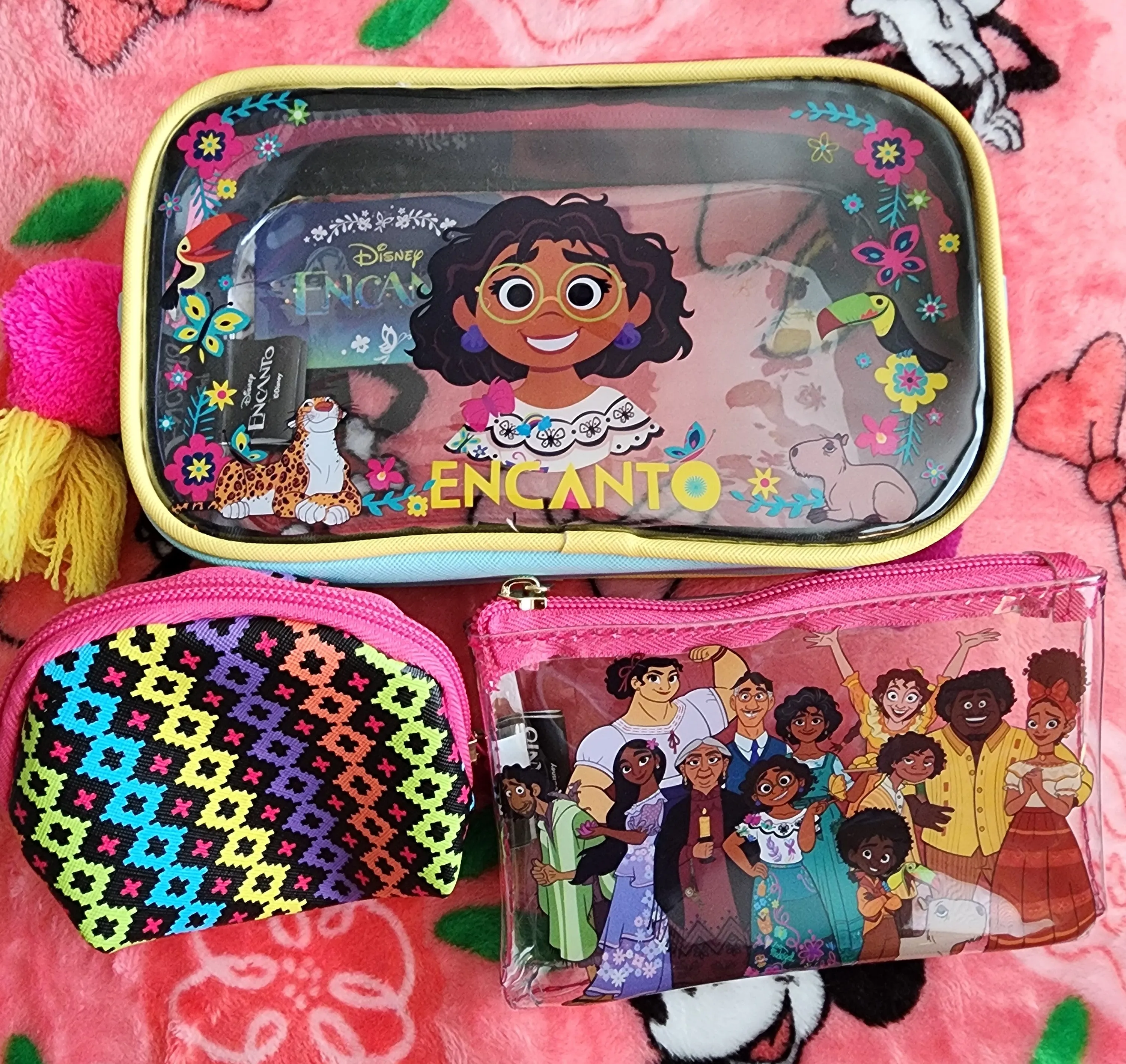 Disney Encanto Cosmetic Bag Set