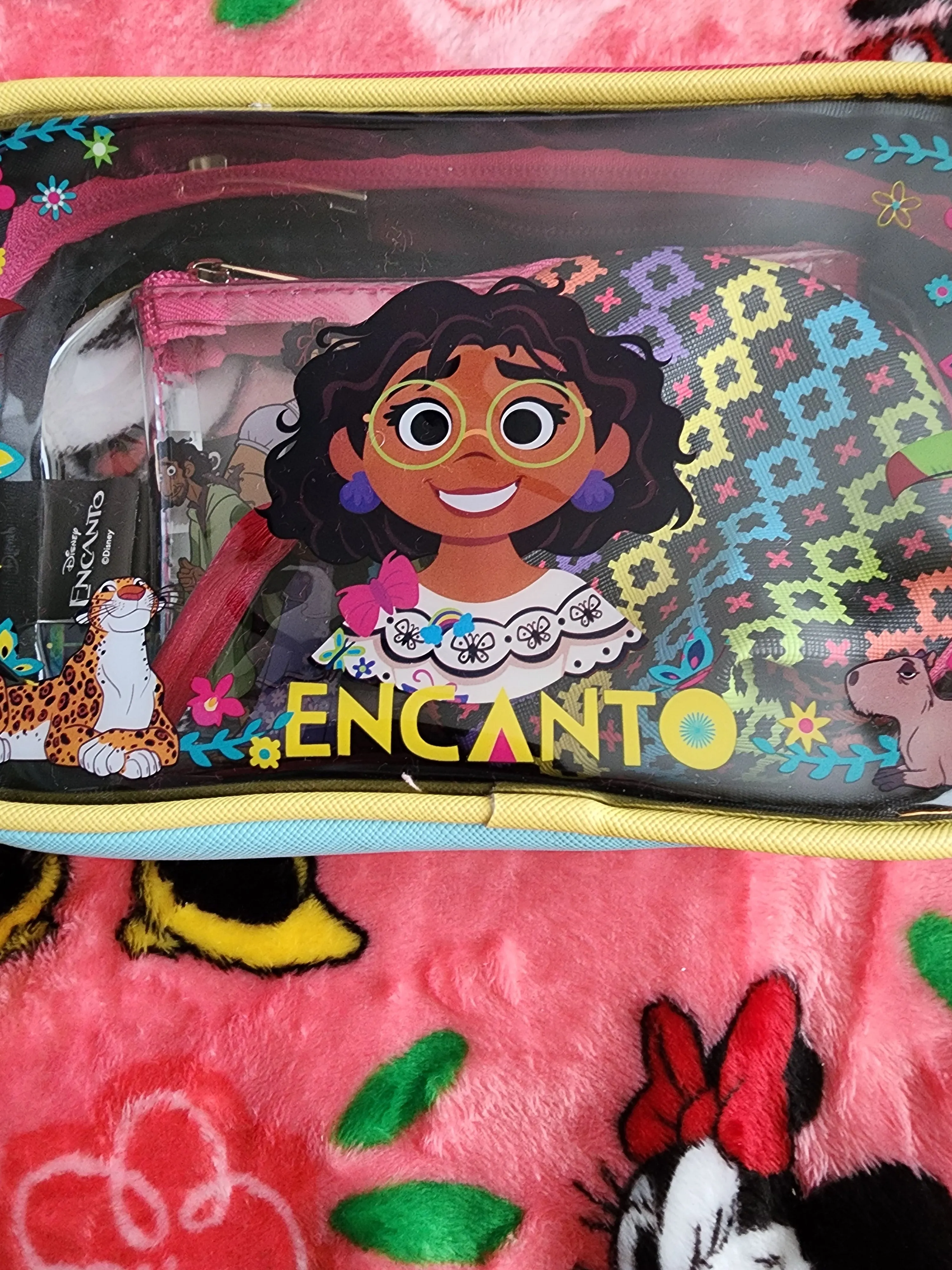 Disney Encanto Cosmetic Bag Set