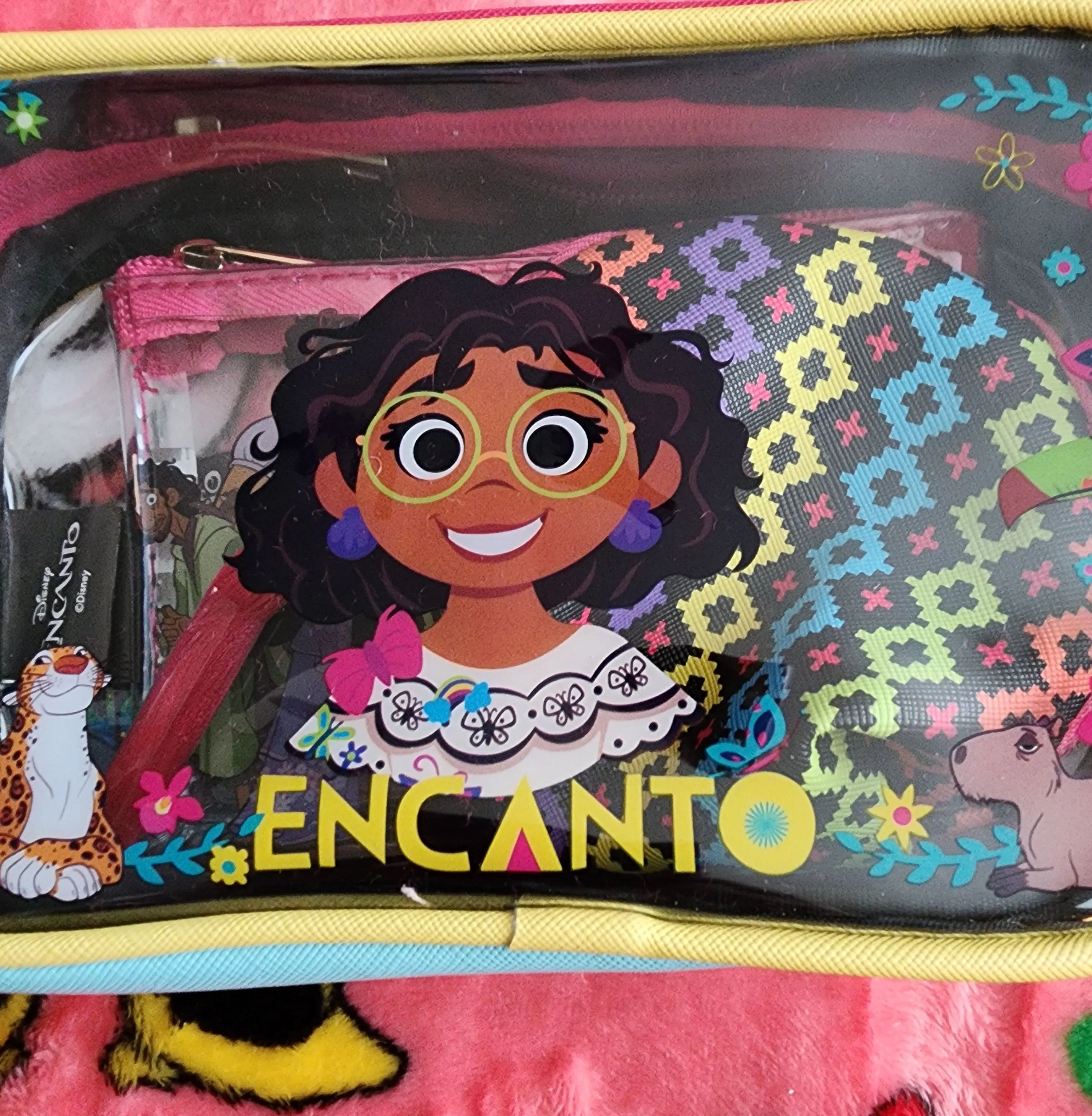Disney Encanto Cosmetic Bag Set