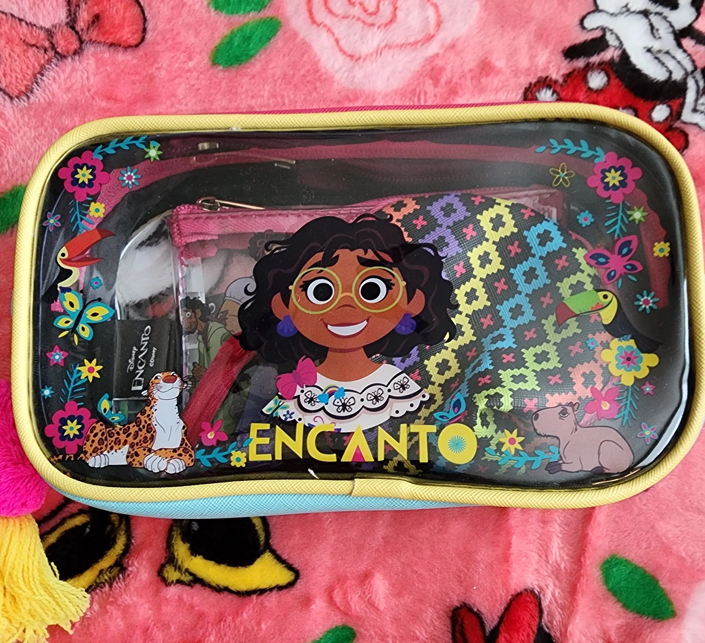 Disney Encanto Cosmetic Bag Set