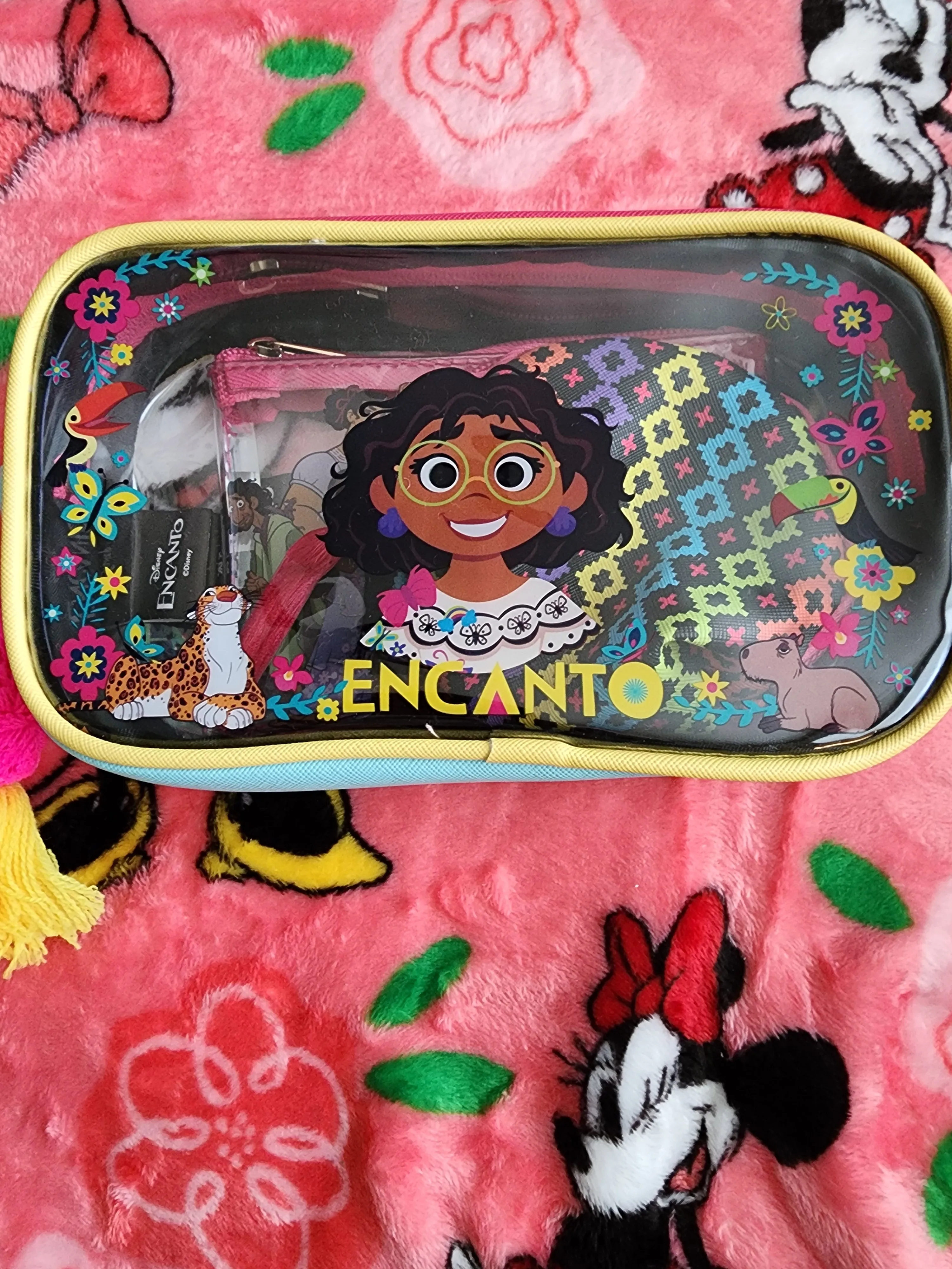 Disney Encanto Cosmetic Bag Set