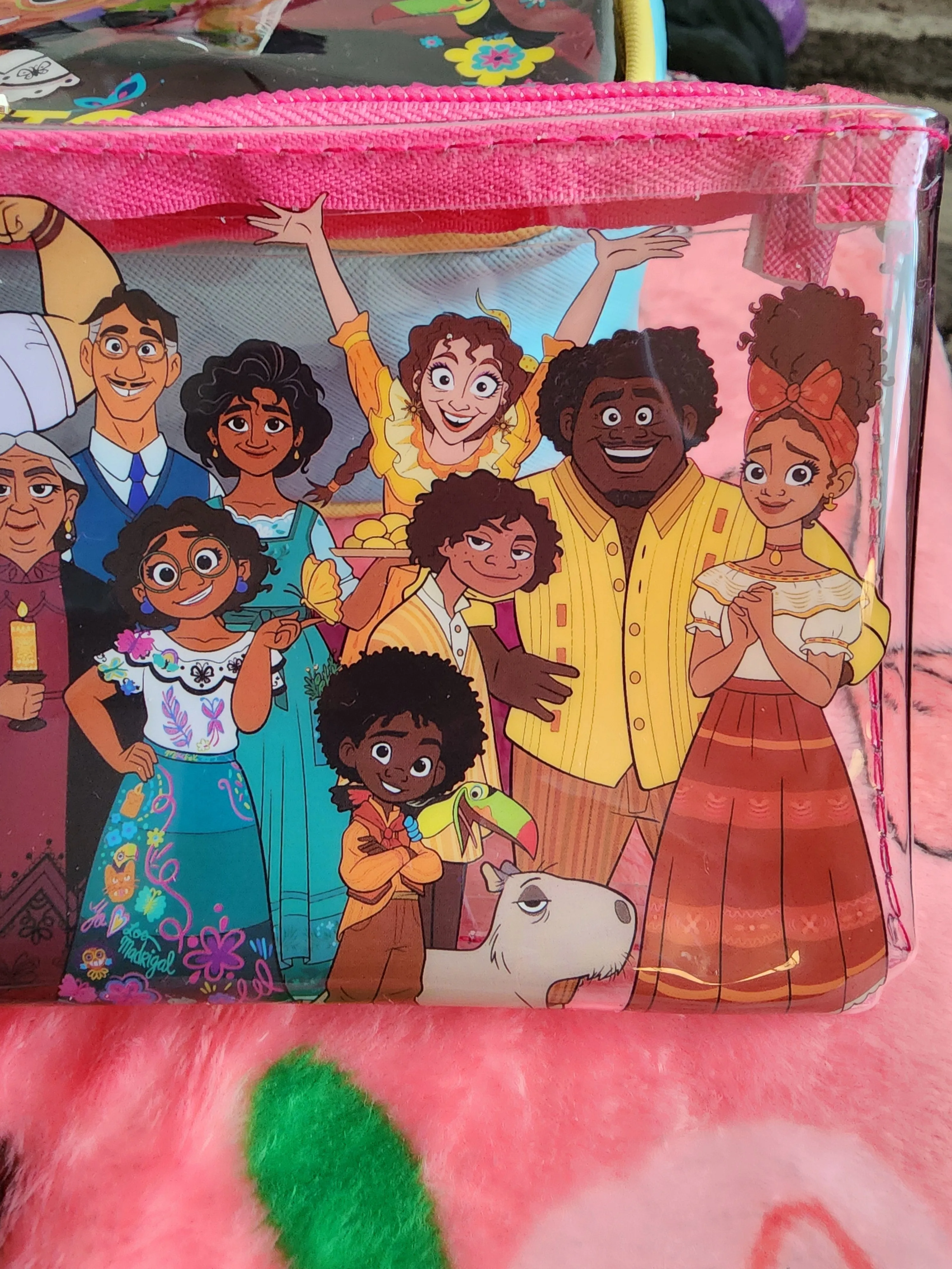 Disney Encanto Cosmetic Bag Set