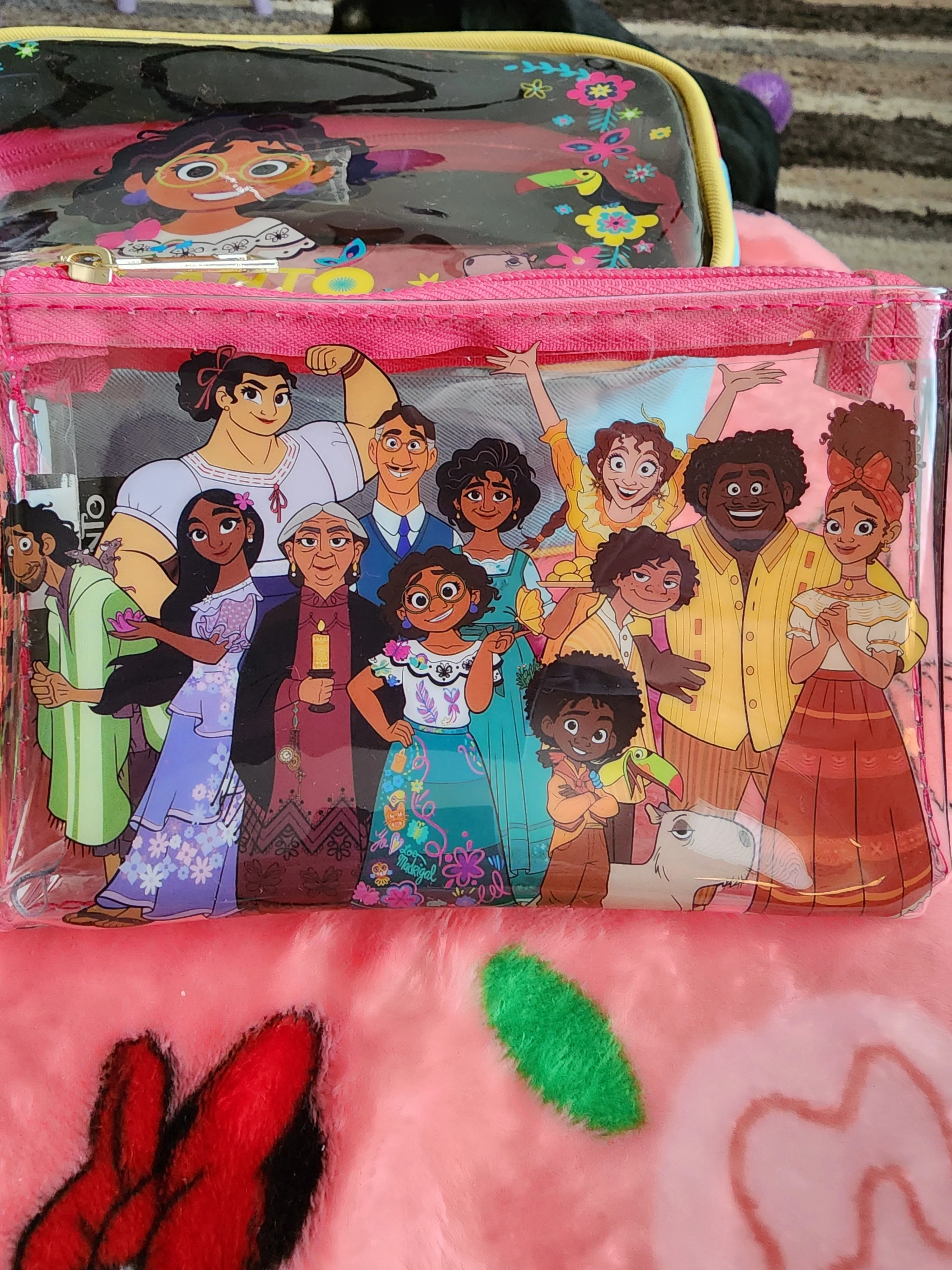 Disney Encanto Cosmetic Bag Set