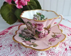 Elegant Pink Rosina Camellias Cup And Saucer Colored 1950s Fancy Shape Brushed Gold