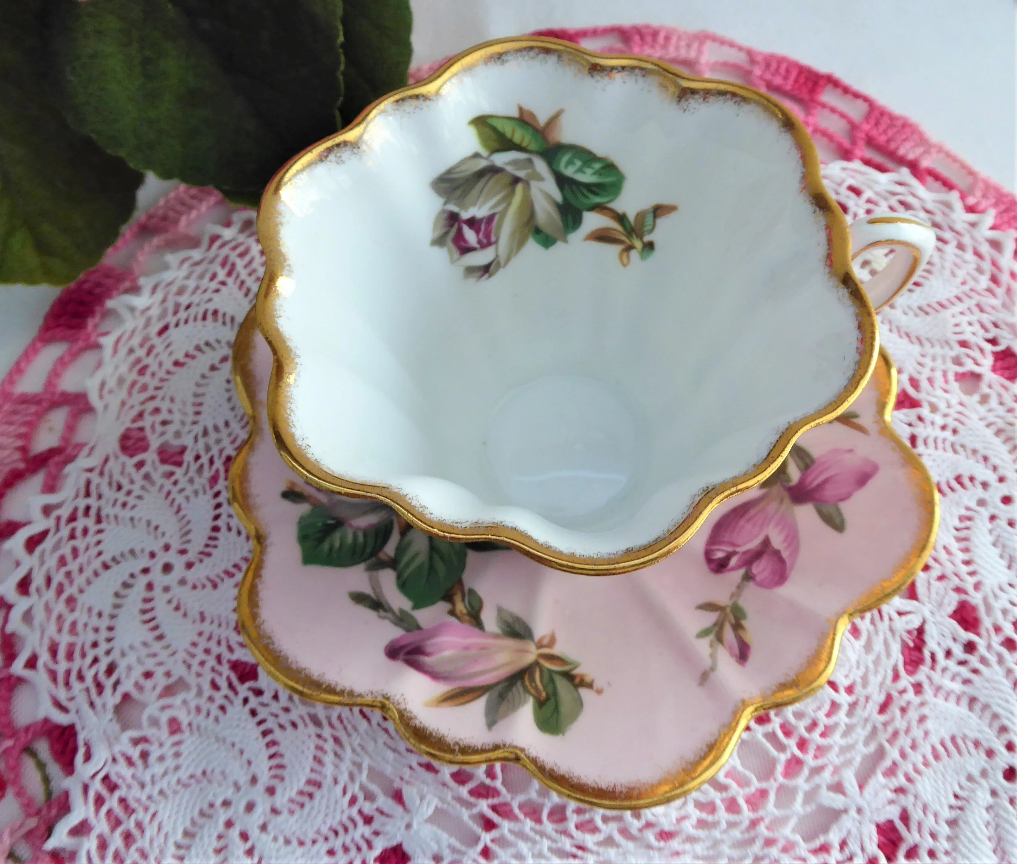 Elegant Pink Rosina Camellias Cup And Saucer Colored 1950s Fancy Shape Brushed Gold