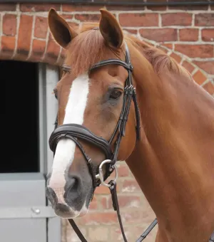 Favoloso Anatomic Bridle with Crank Noseband