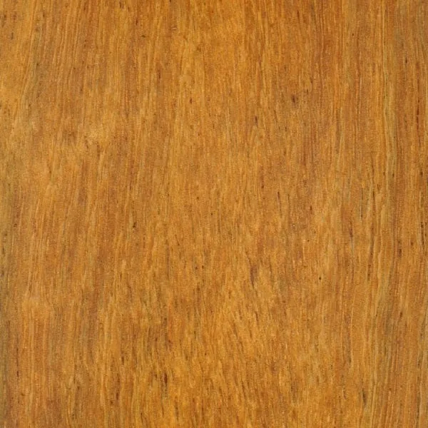 Folio Timber Bookmark