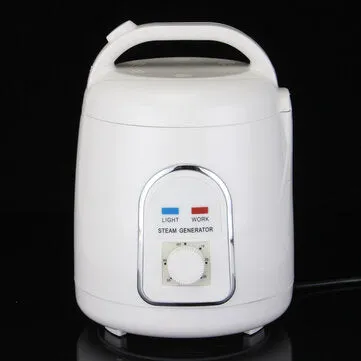 Home Sauna Spa Steamer portable