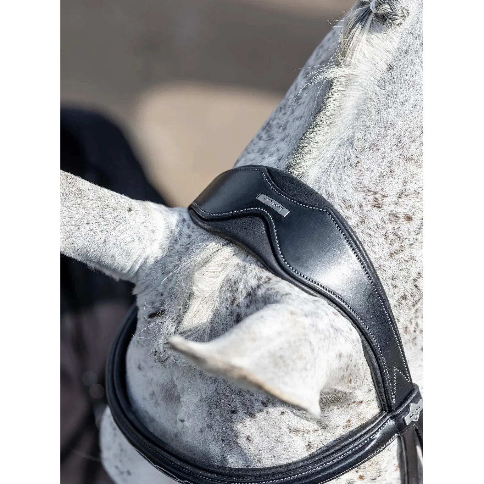 LeMieux Competition Bridle