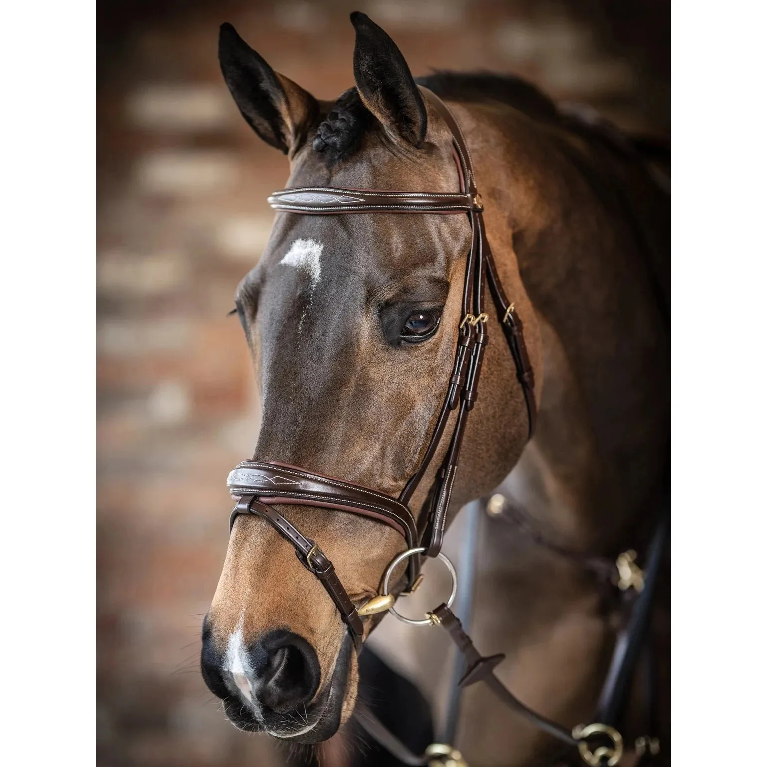 LeMieux Competition Bridle