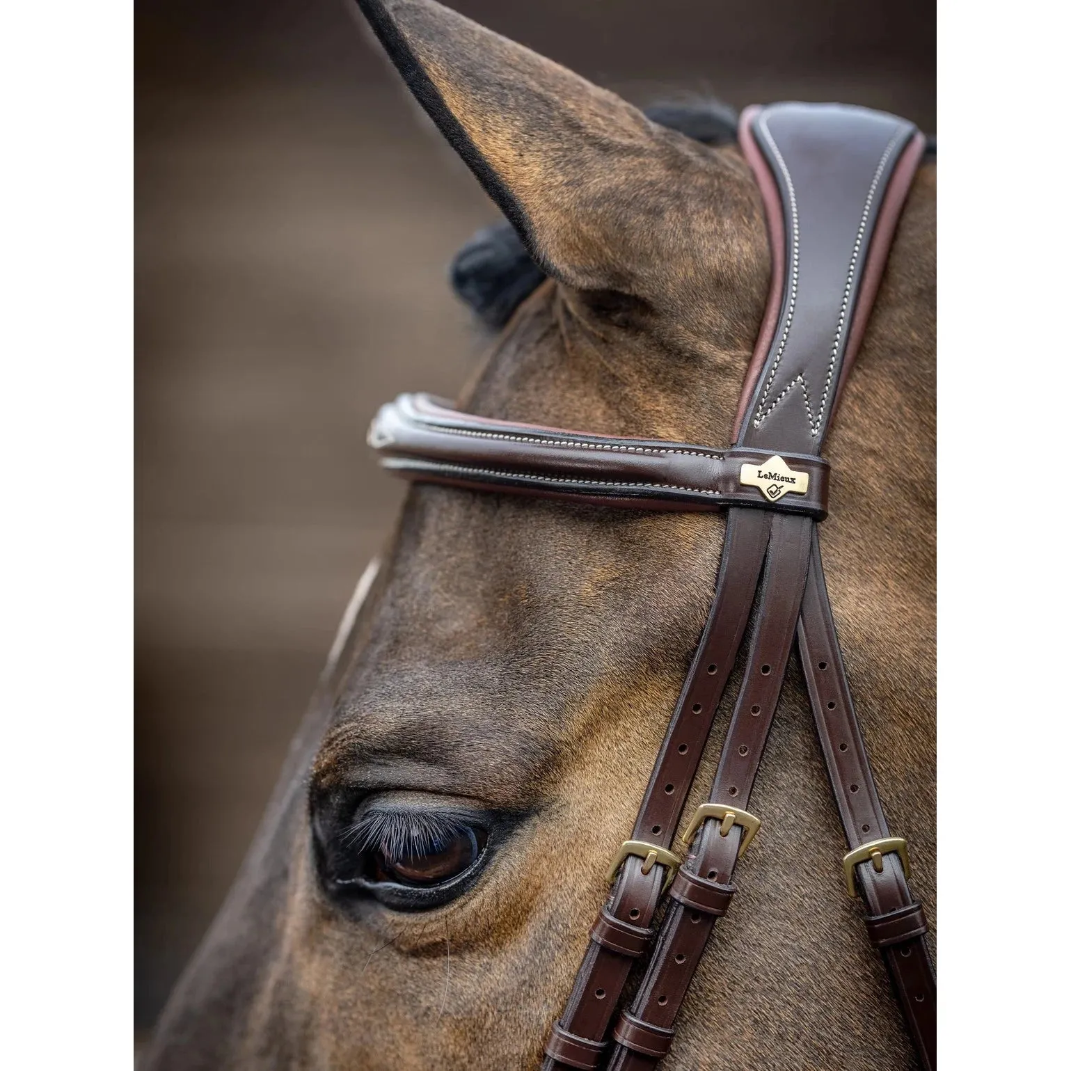 LeMieux Competition Bridle
