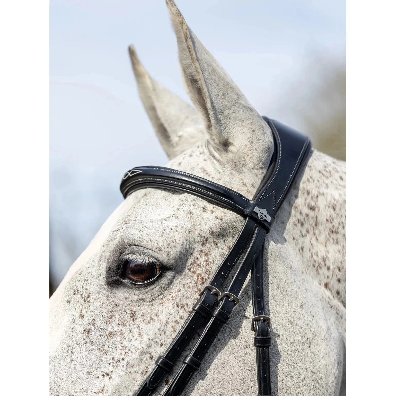 LeMieux Competition Bridle