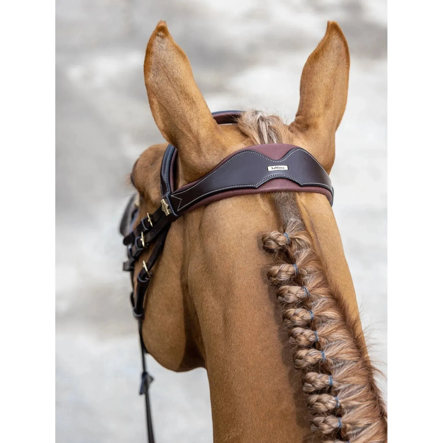 LeMieux Competition Bridle