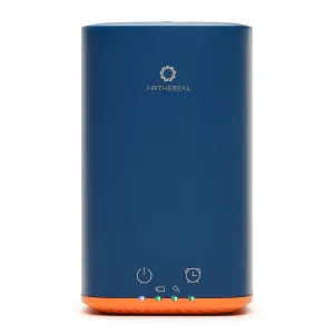 PA300-GO Portable Ozone Generator