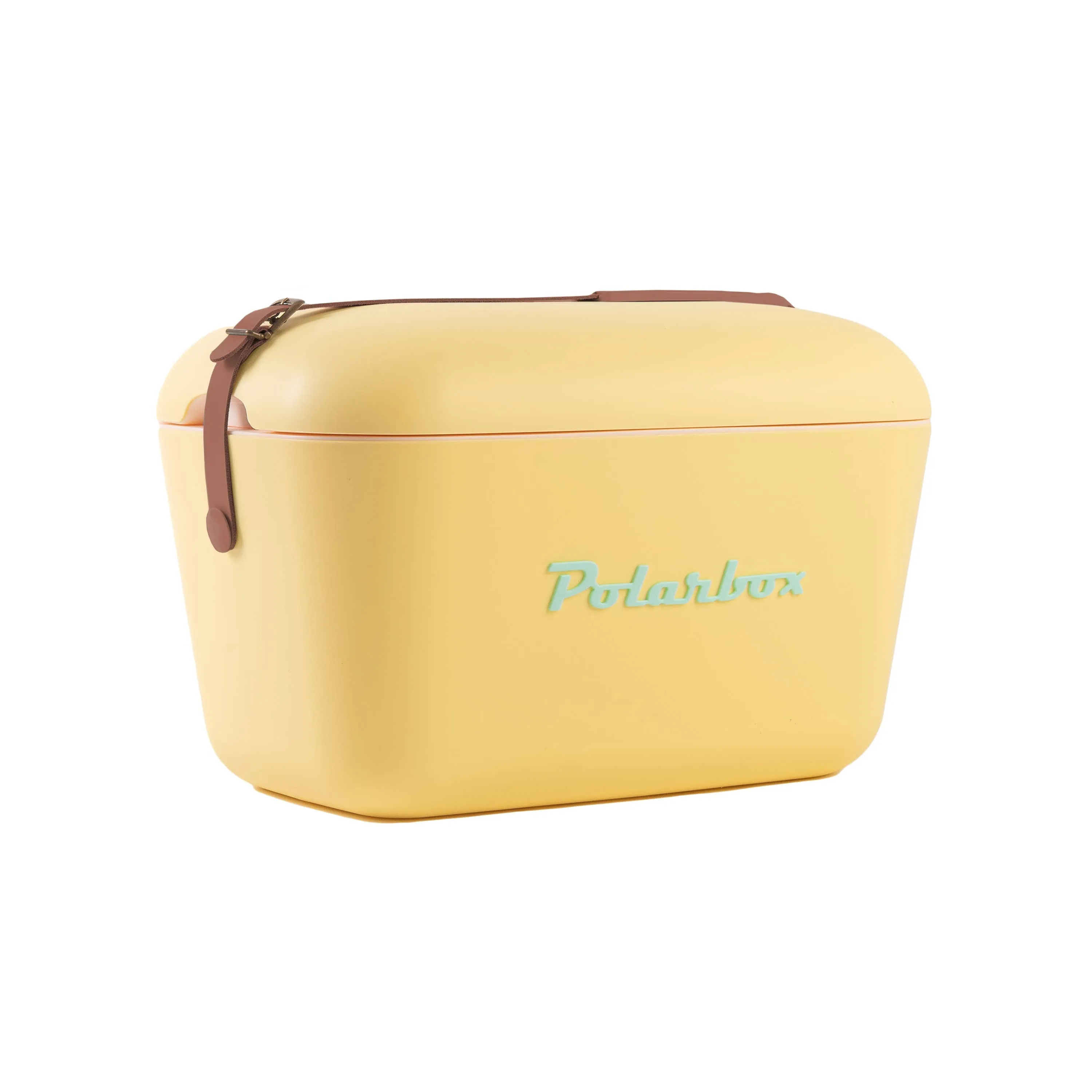 Polarbox cooler 12L beach picnic summer retro: Pink