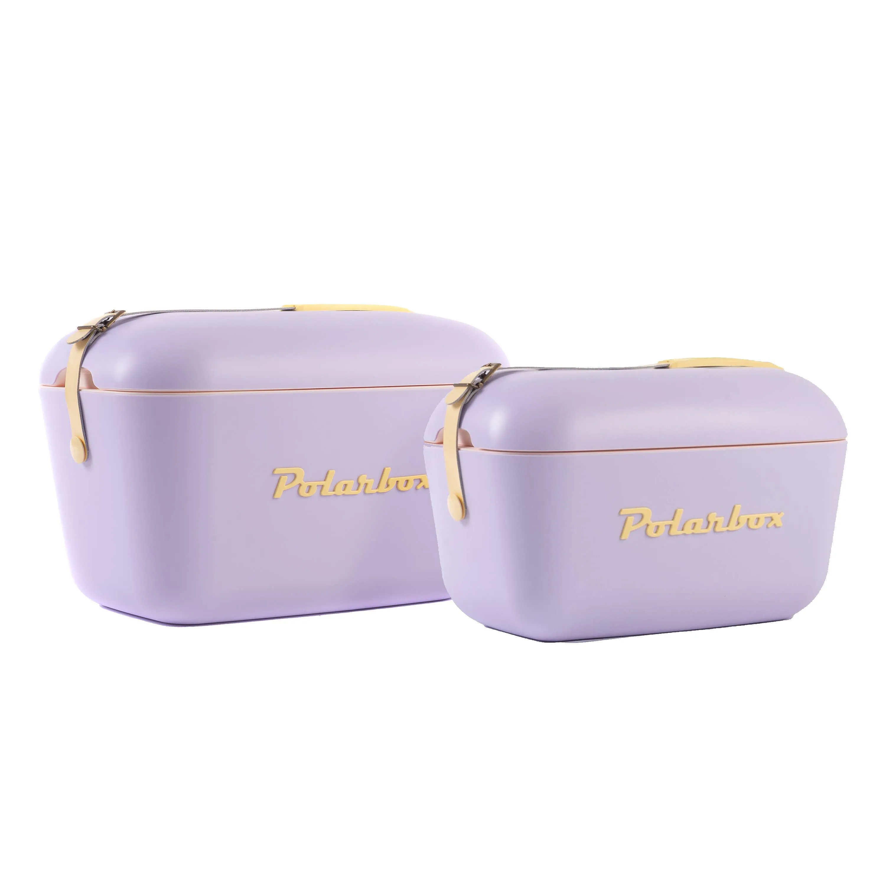Polarbox cooler 12L beach picnic summer retro: Purple