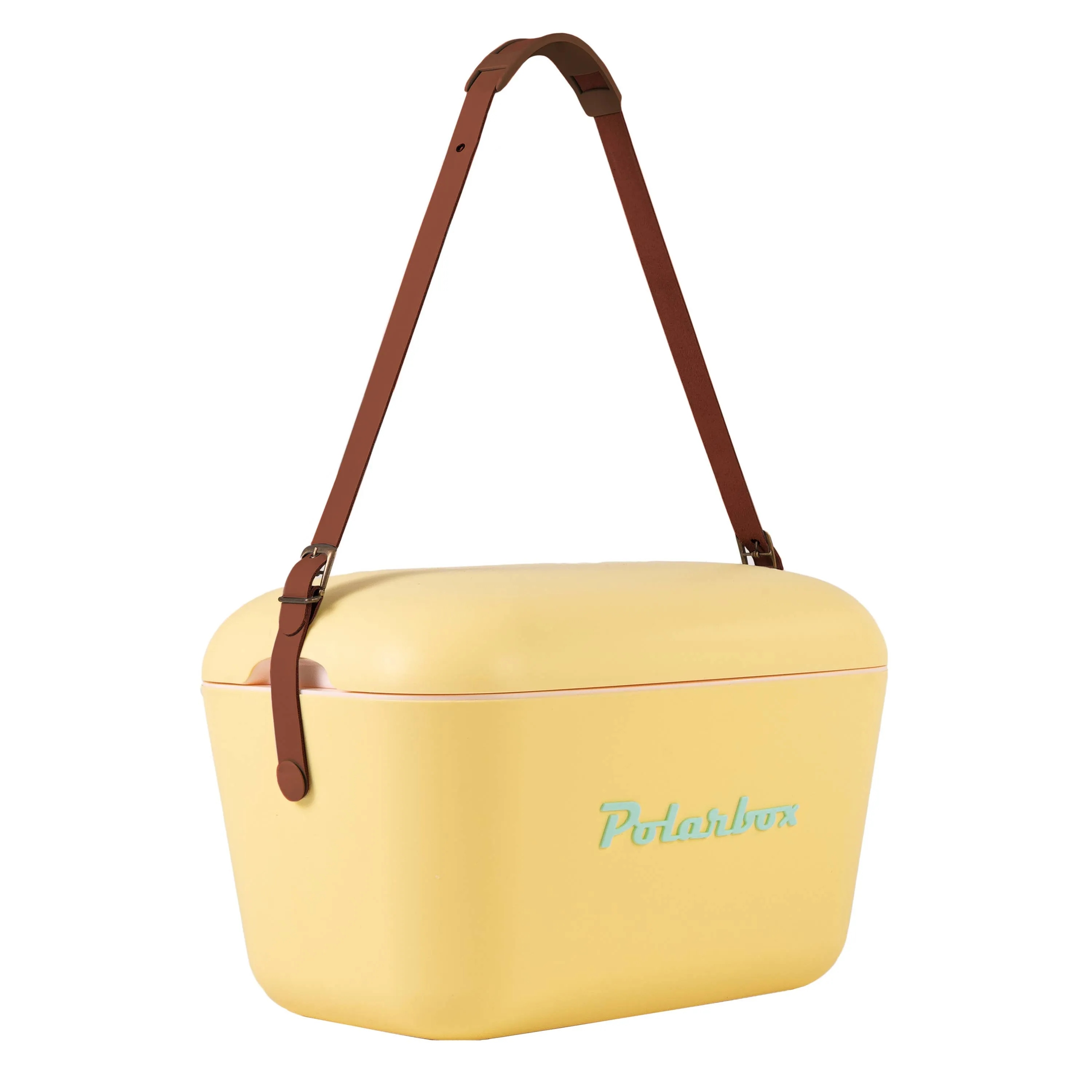 Polarbox cooler 12L beach picnic summer retro: Purple