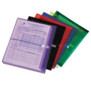 POLY HOOK-LOOP SIDE LOADING EXP ENVELOPE 11.625" ASST, 5CT-BX (5 BOXES PER PACK)