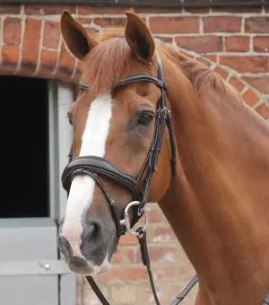 Premier Equine Favoloso Anatomic Bridle with Crank Noseband