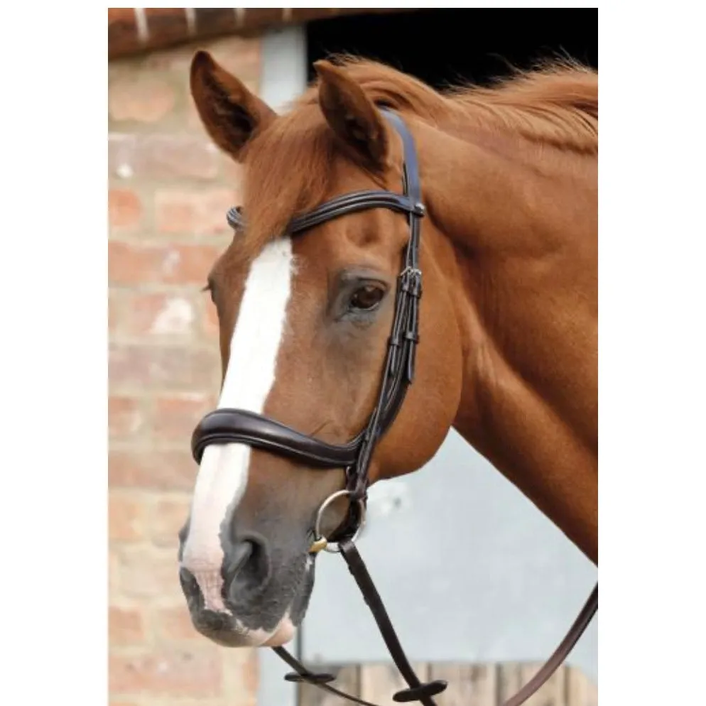 Premier Equine  Lambro Anatomic Bridle with Crank Noseband
