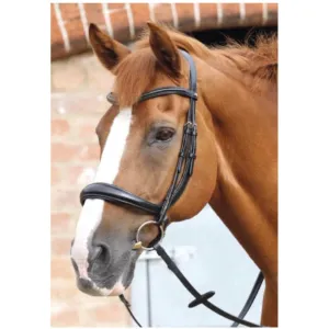 Premier Equine  Lambro Anatomic Bridle with Crank Noseband