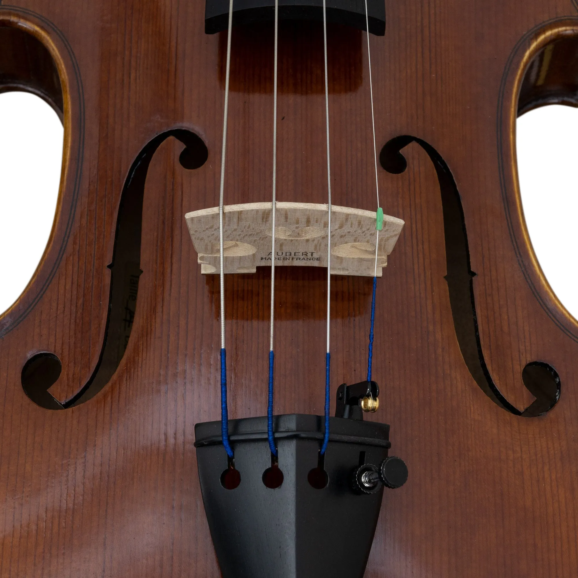 Renée Nicolette Violin Outfit